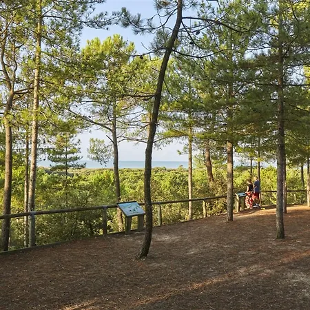 2 Pres De La Plage, Animaux Admis - - Fr-1-323-314