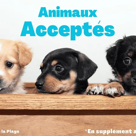 2 Pres De La Plage, Animaux Admis - - Fr-1-323-314 Apartment